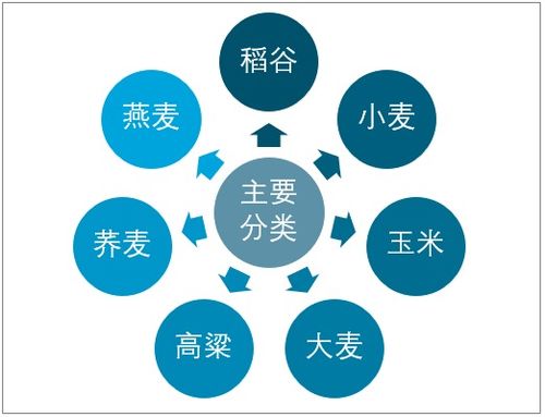 2021-2027年中國谷物行業市場經營管理及投資前景預測報告